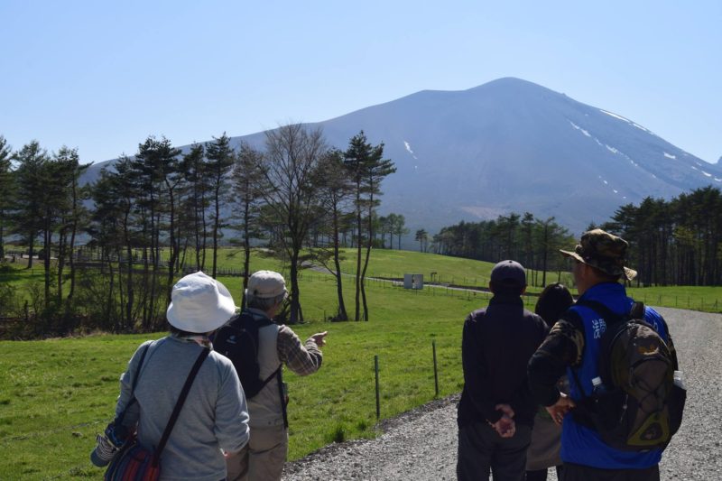 単発企画ものツアー